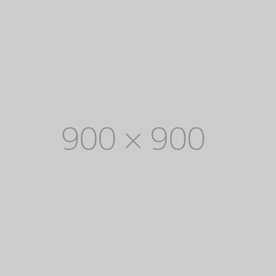 hongo 900x900-ph