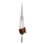 Hanging Plant