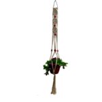 wall hanging plant