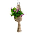 House Decor