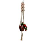 Wall Hanging Plants